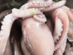 -福鑫源海鲜烧烤