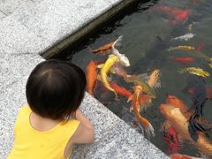 -天津大学附属中学