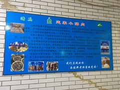 大堂-定家小酥肉·清真(回民街店)