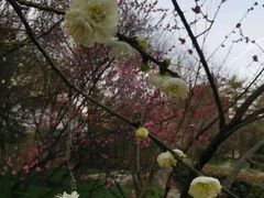 -木塔寺遗址生态公园
