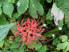 -天津盘山风景名胜区