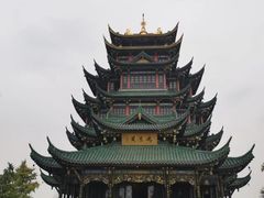 -大龙山(地铁站)