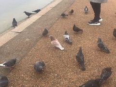 -海德公园