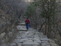 -北京鹫峰国家森林公园