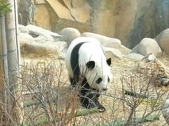 -青藏高原野生动物园