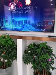 -痘院长·祛痘·科技美肤