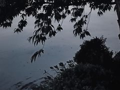 -湧金楼(西湖天地店)