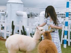 -Blue Concept Cafe&Farm·關於藍