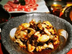 -谭鸭血老火锅(龙湖宝山天街店)