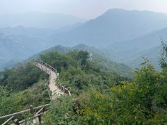-大岭沟猕猴桃谷风景区