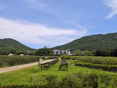 -亚龙湾国际玫瑰谷