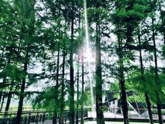 -龟山风景区-龟山电视塔