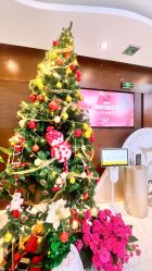 -洁铭新加坡医美