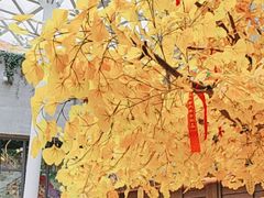 -阿大排档(长春这有山店)