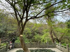 -善卷洞风景区