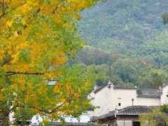 -塔川景区