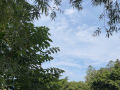 -黄龙溪古镇