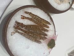 -红鼎豆捞·专注品质海鲜20年(宝丰路店)