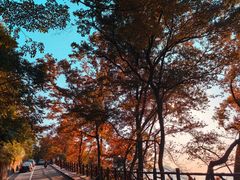 -广州市石门国家森林公园