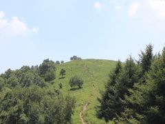 -驼梁风景区