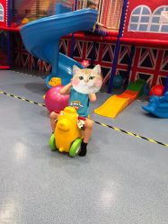 -都乐汇儿童乐园(莱蒙都会店)