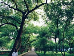 -浙江大学(玉泉校区)