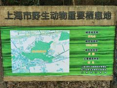 -上海佘山国家森林公园天马山园