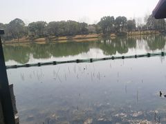 -湘湖大院(越王路店)