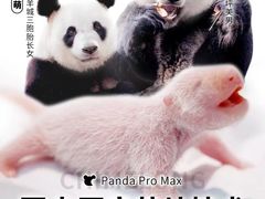 -广州长隆野生动物世界