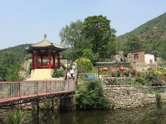 -双新垂钓园