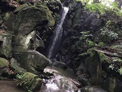 -成田山新胜寺