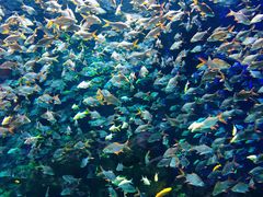 -成都浩海立方海洋公园