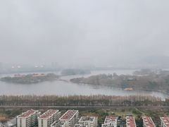-湖景知味西餐厅•自助餐• 轻食(南京金茂威斯汀大酒店)