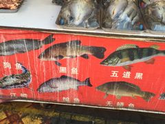 -新疆风味冷水鱼庄(友谊峰路店)