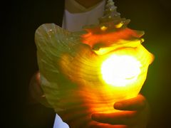 -青岛贝壳博物馆