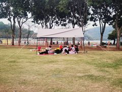 -顺峰山公园