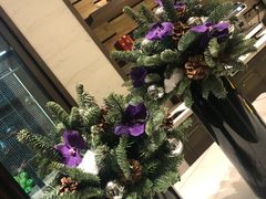 -四季酒店·空中花园 Aria on 9