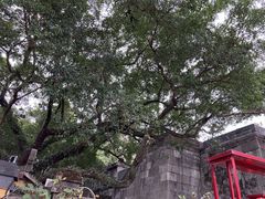 -桂林独秀峰王城景区