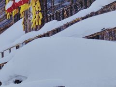-林海雪乡铁锅炖·东北菜(夏湾店)