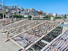 -东沙渔村