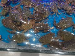 -SEA西雅图海鲜自助餐厅(海乐世界店)