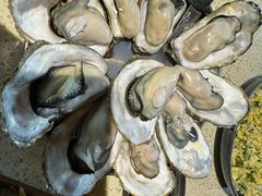 -蚝堡·生蚝海鲜烧烤物种起源•海肠捞饭(刘公岛店)