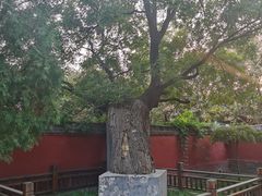 -天宁寺