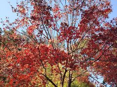 -香山公园-东宫门售票处