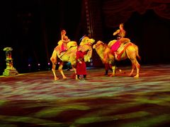 -珠海横琴长隆《卡卡虎奇遇记》