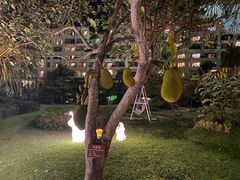 -三亚亚龙湾天域度假酒店