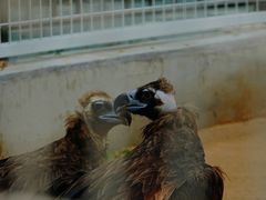 -秦皇岛野生动物园