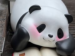 -轩客会(熊猫书店)