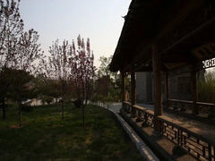 iphone_upload_pic-爱新觉罗皇家博物院
