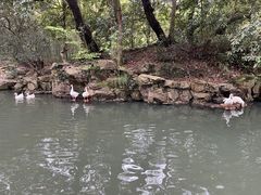 -兰亭风景区